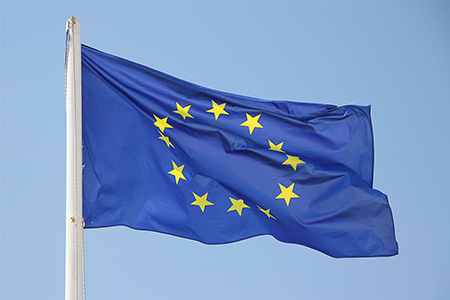 Das Europäische Parlament
