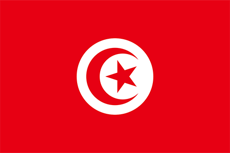 A Journey through Tunisia 